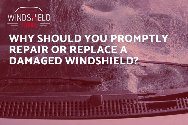 Why Should You Promptly Repair or Replace a Damaged Windshield?